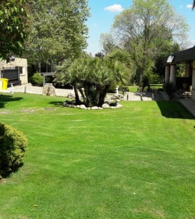 empresa-jardinería-la-moraleja