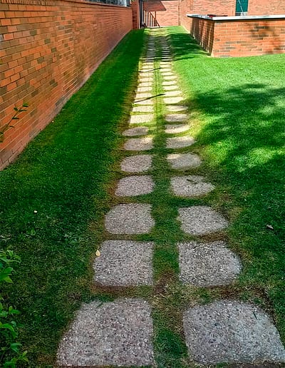 mantenimiento-jardin-comunidades-madrid