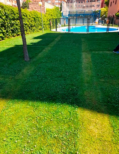 empresa-jardineria-madrid
